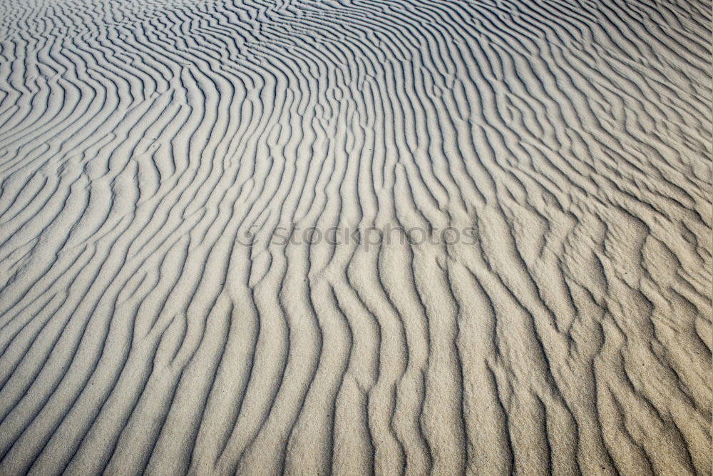 Similar – Image, Stock Photo Snow dunes on Rügen