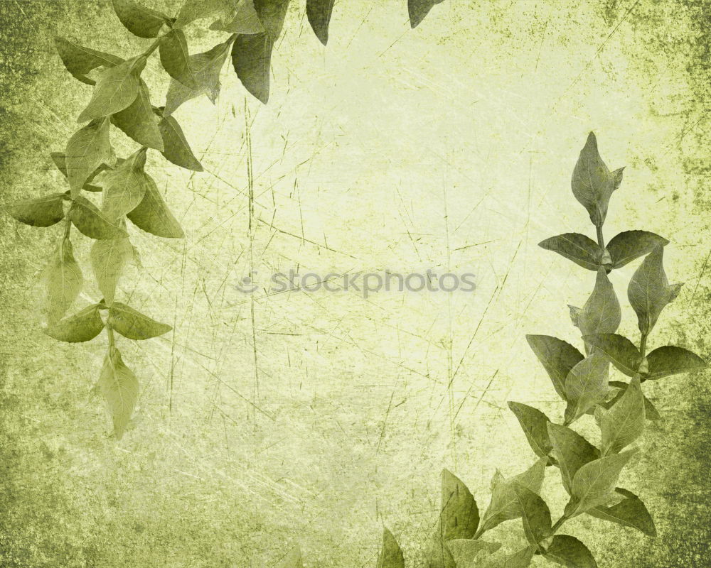 Similar – Image, Stock Photo sheets in transmitted light