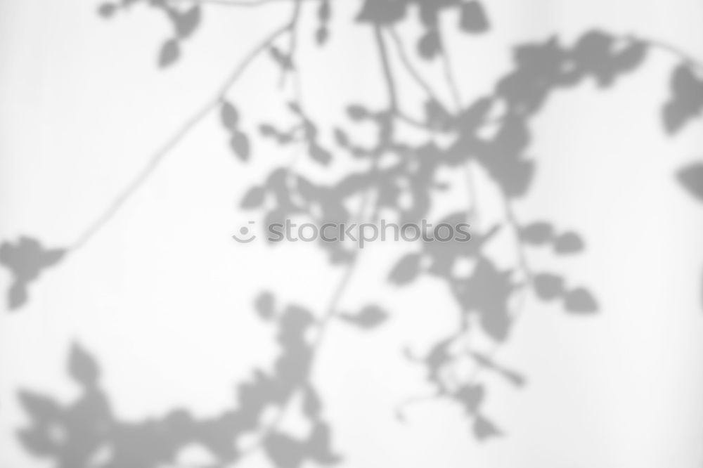 Similar – Image, Stock Photo Graphical Worlds Branch