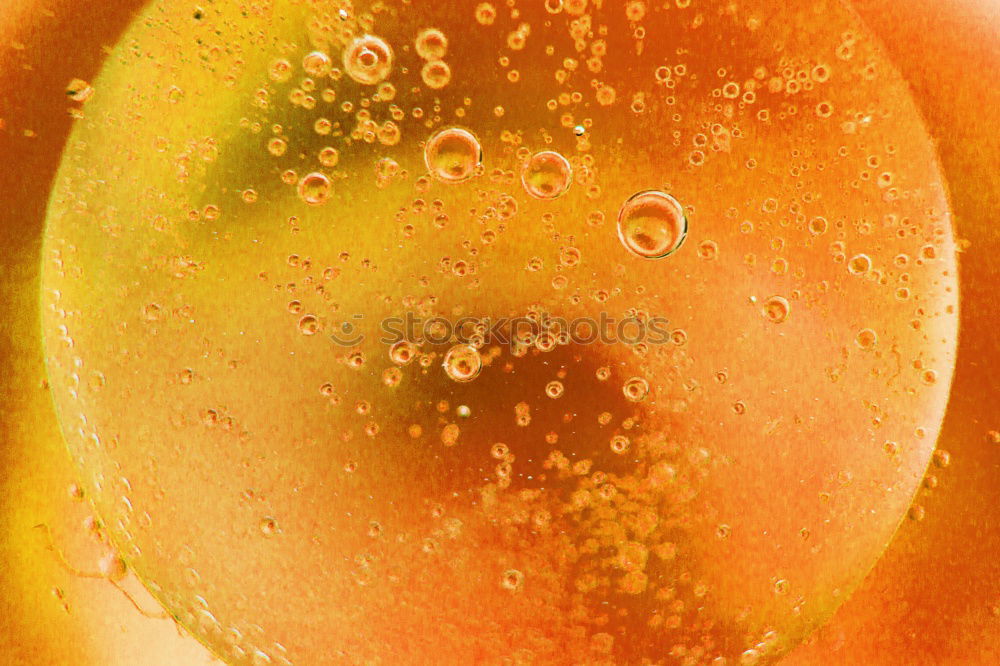 Similar – Carrot Juice with colorful Background