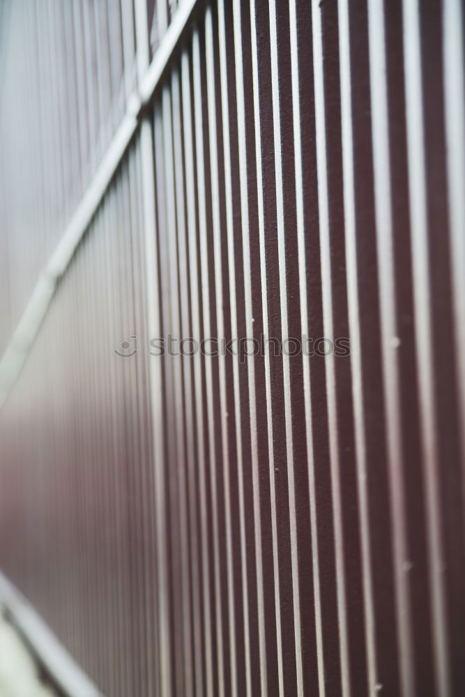 Similar – Image, Stock Photo wire mesh winter