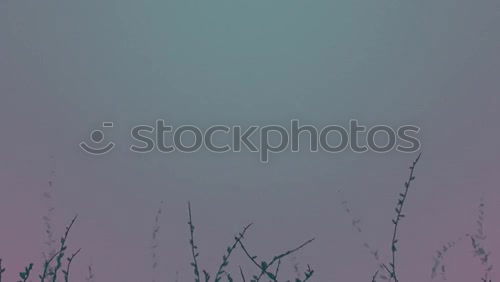 Similar – Foto Bild skyline Wolken rosa rot