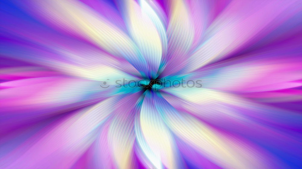 Similar – Image, Stock Photo purple flower paradise