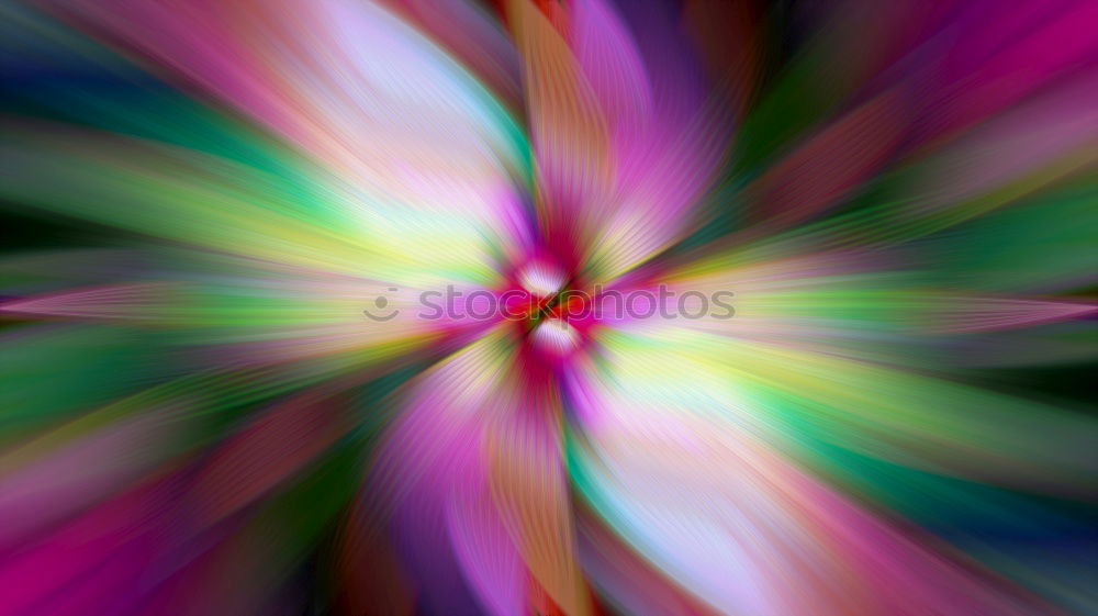 Similar – Image, Stock Photo Tulips II #berlinerwasser