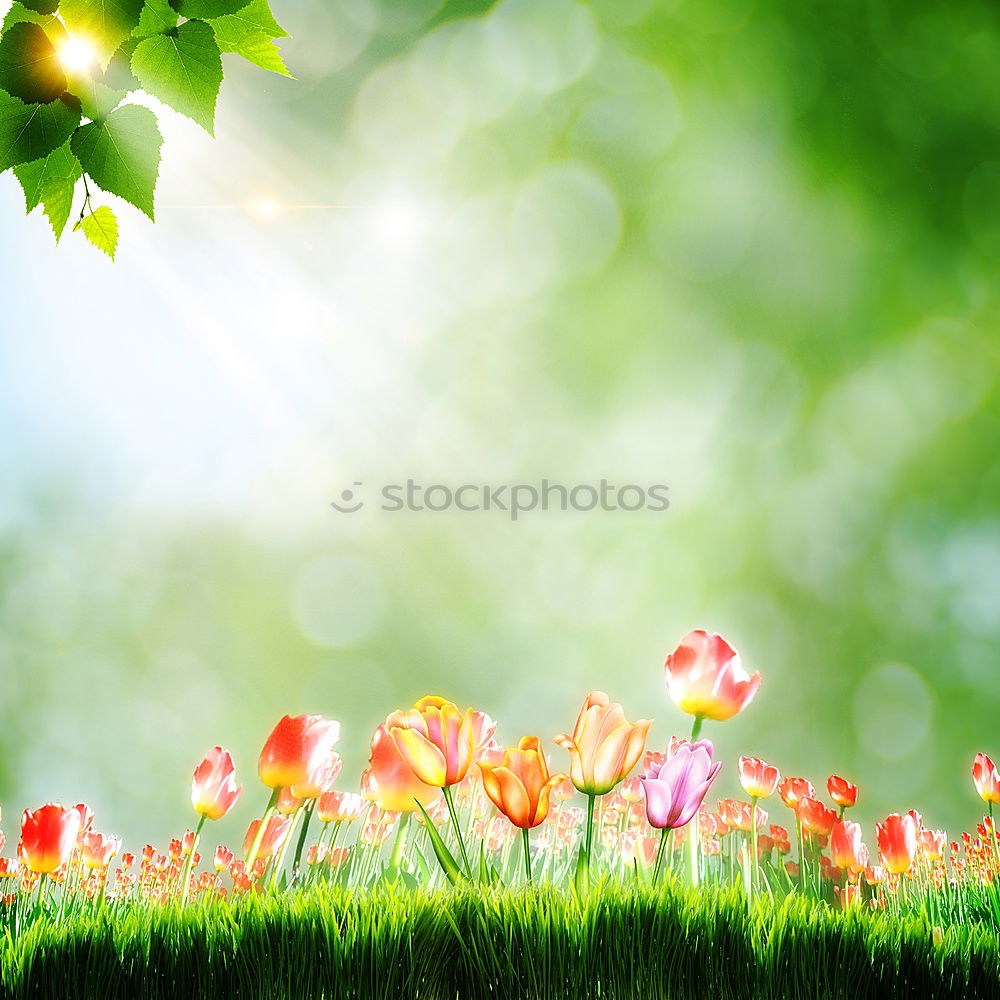 Similar – Image, Stock Photo spring Environment Nature