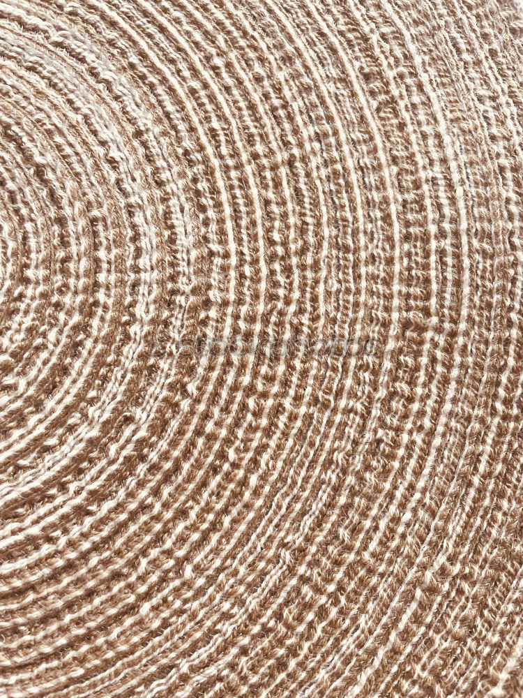 Similar – Wood texture with tree rings (growth rings)