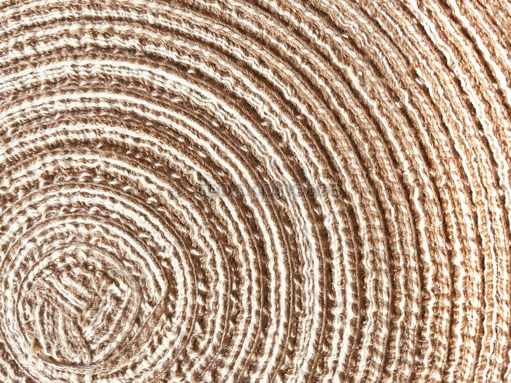 Similar – Wood texture with tree rings (growth rings)