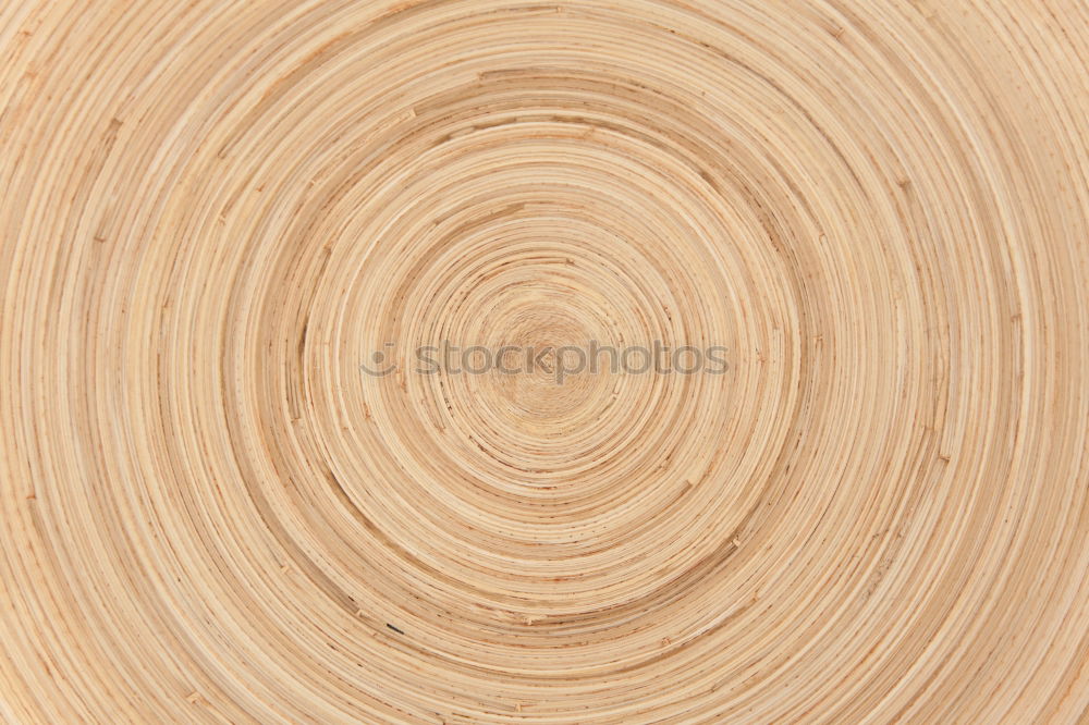 Similar – Image, Stock Photo bed of nails Wood Gloomy