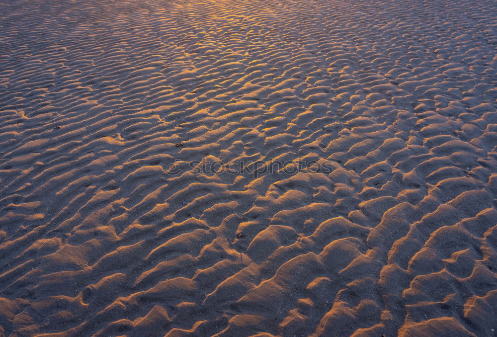 Similar – bodenlos Meer See Muschel