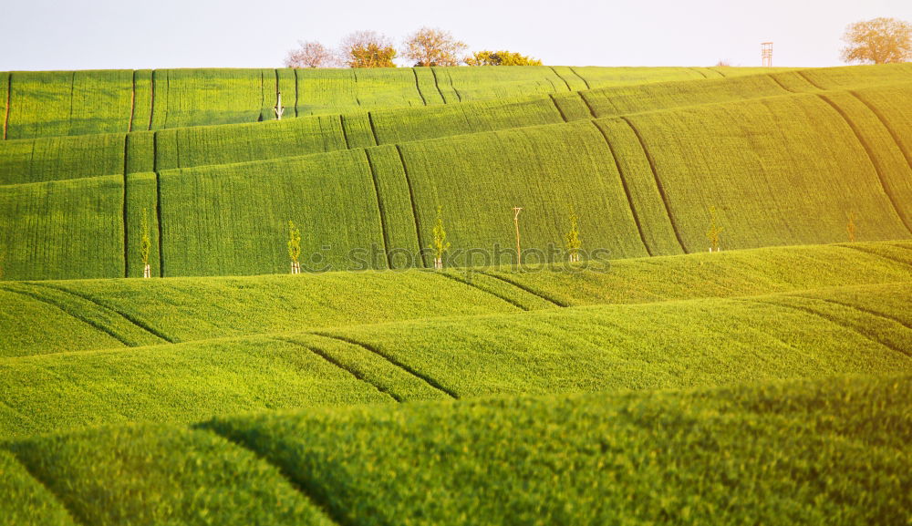 Similar – field away Field Footpath