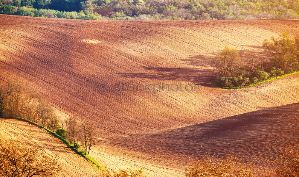 Similar – mini farm Tilt-Shift Small