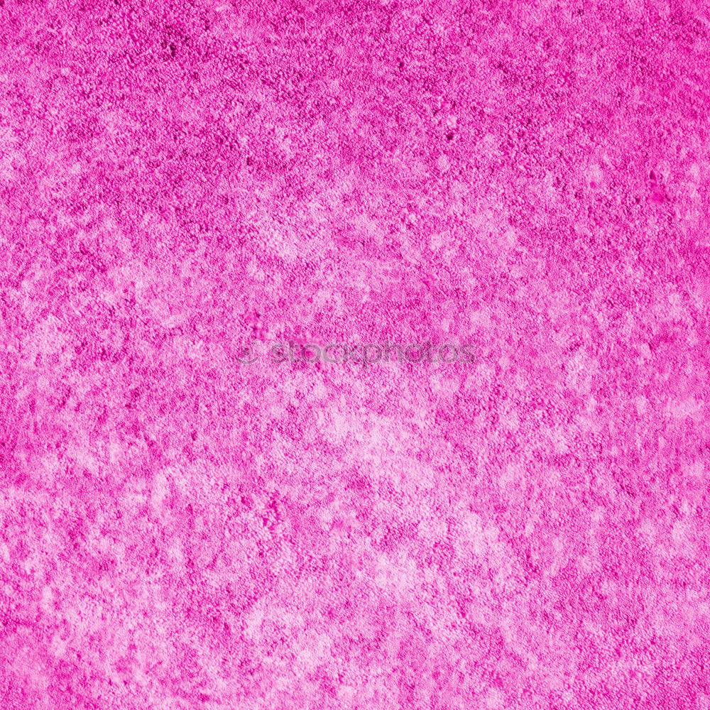 Similar – PINk Colour photo Close-up