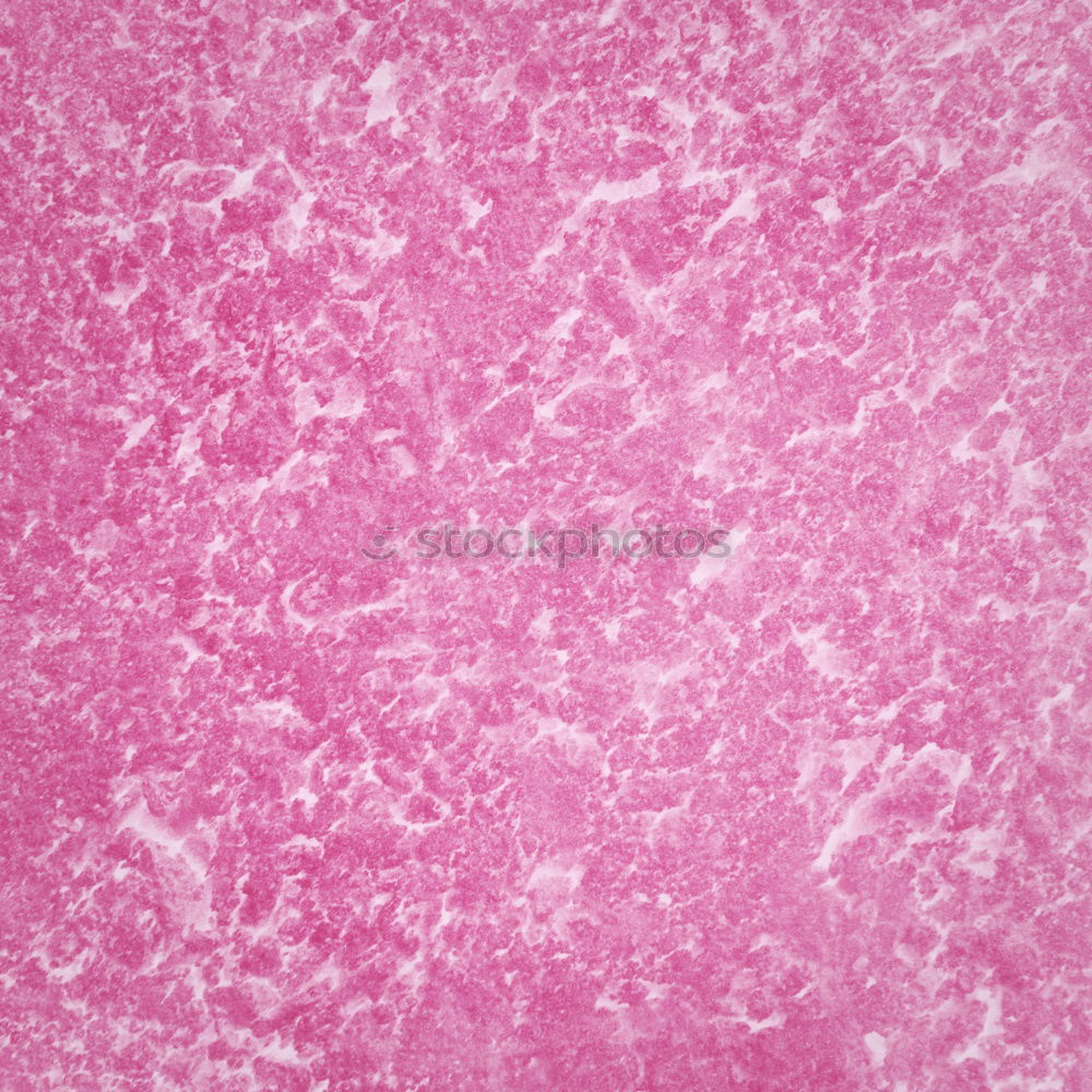 Similar – PINk Colour photo Close-up