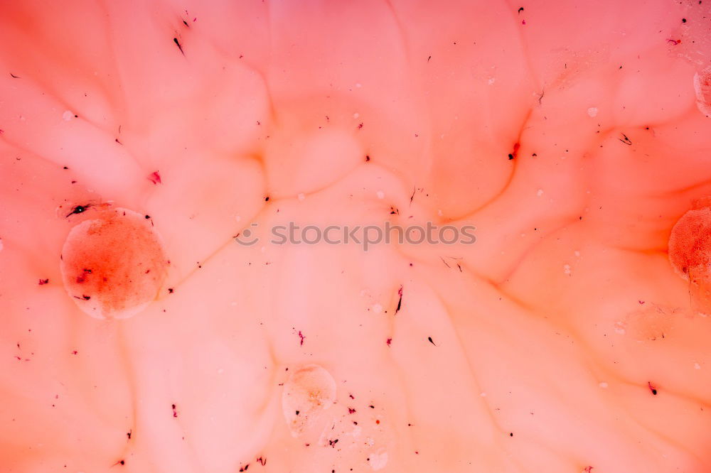 Similar – Image, Stock Photo The first snow Environment