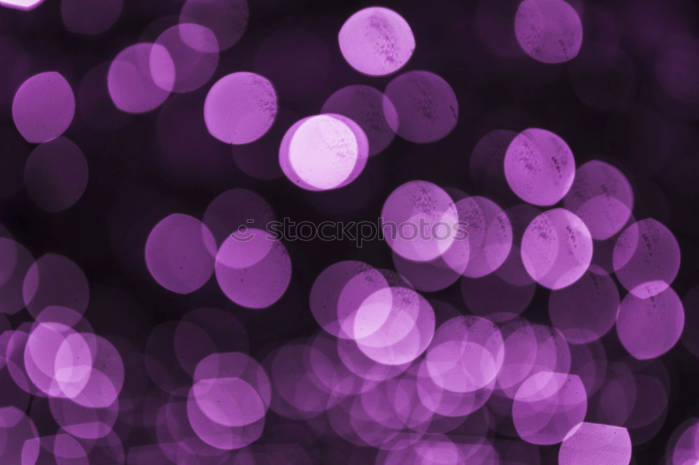 Similar – Image, Stock Photo purple christmas Winter