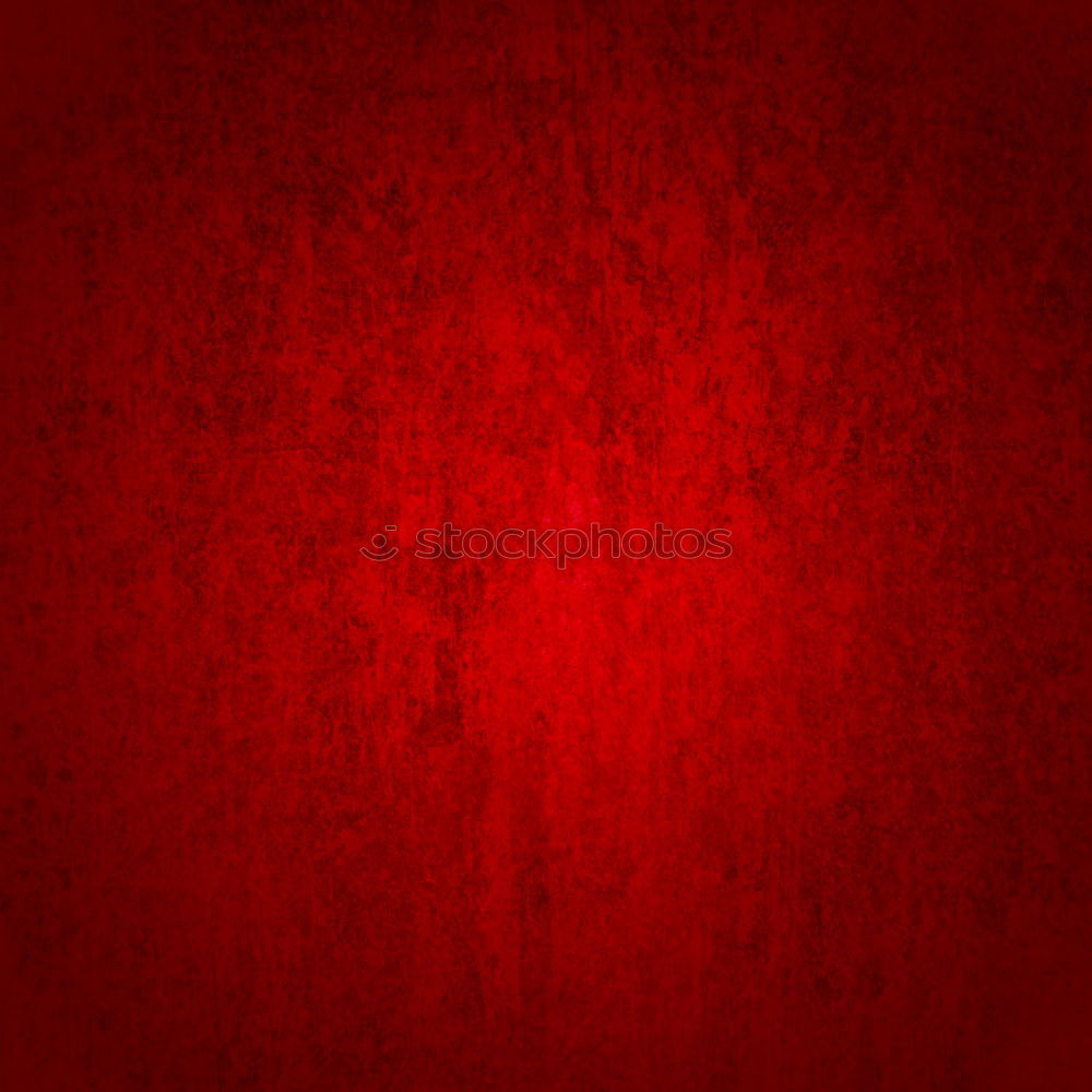 Similar – Foto Bild Blüte rot feucht Blume