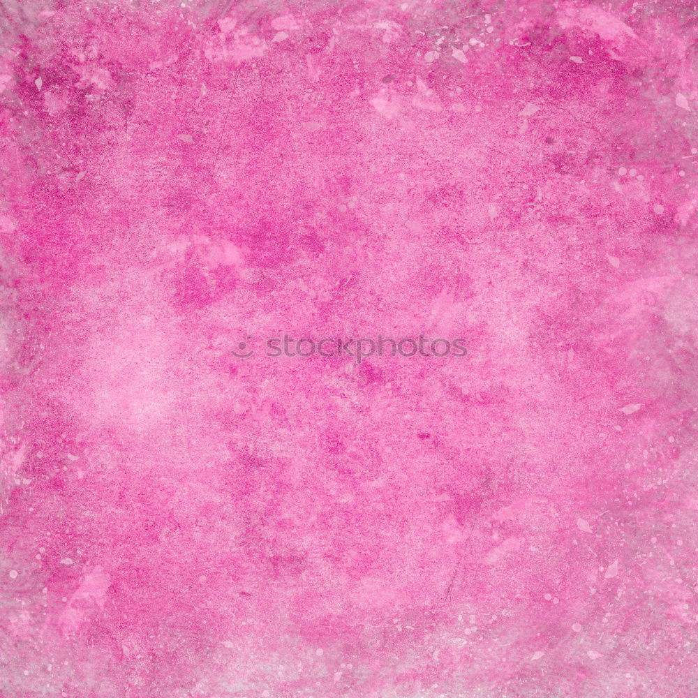 Similar – PINk Colour photo Close-up