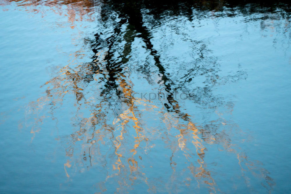 Similar – Image, Stock Photo western beach Environment