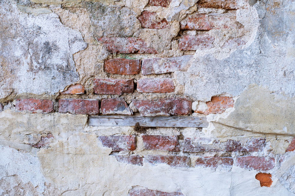 Similar – Texture patina on an old wall