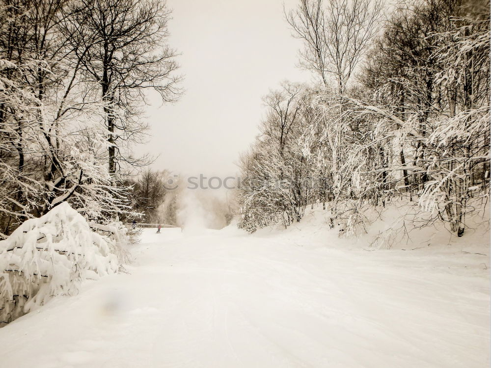 Similar – Image, Stock Photo radiant heaters