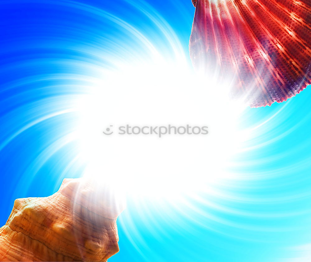 Similar – Image, Stock Photo Amber find at the Baltic Sea