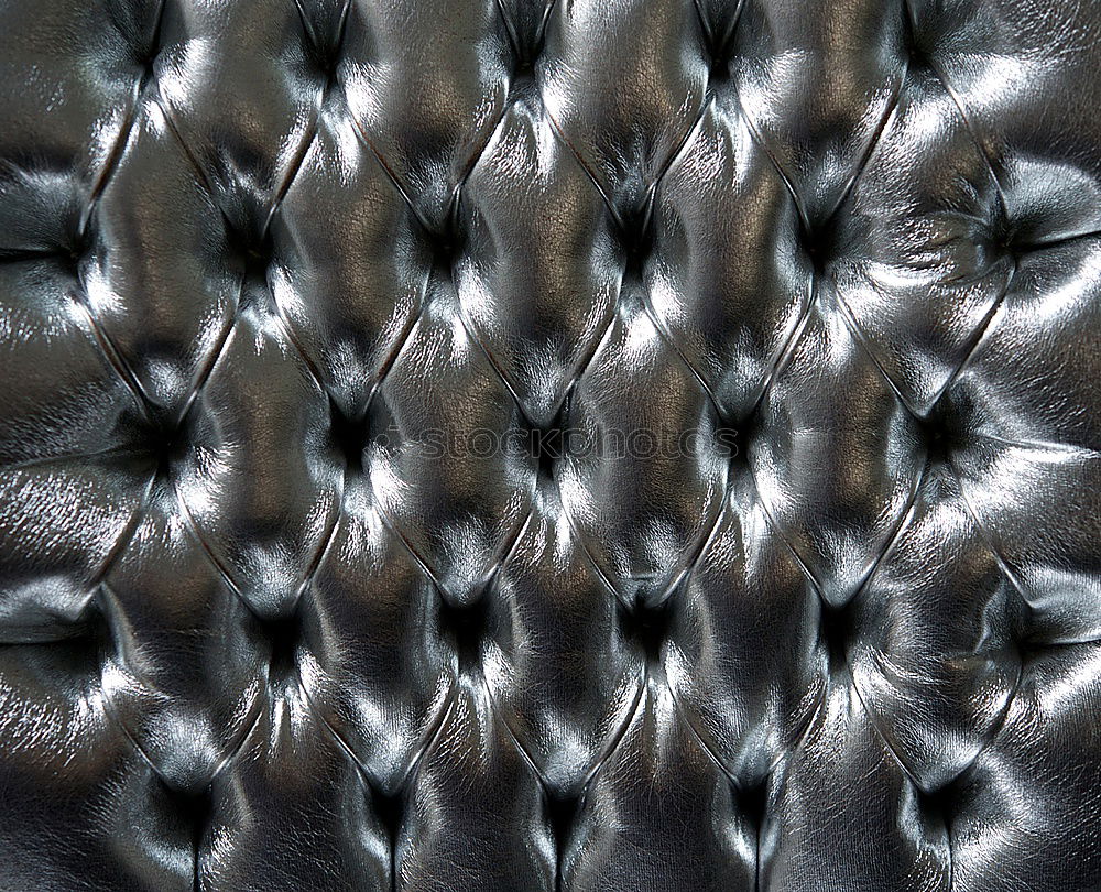 Similar – Image, Stock Photo crocodile skin Animal
