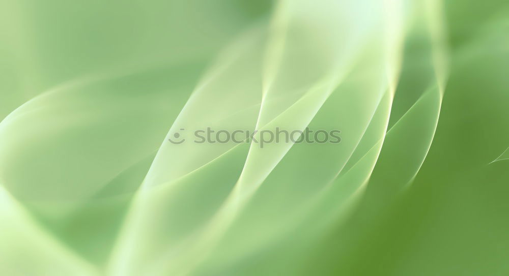 Similar – Image, Stock Photo Unfold II Nature Plant