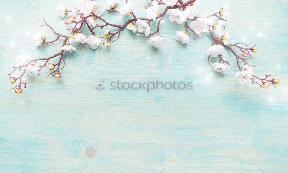 Similar – Image, Stock Photo Kischblüten branches on pastel blue