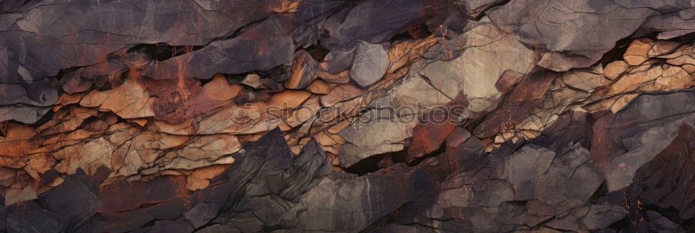 Similar – Image, Stock Photo tempus vincit omnia Zoo