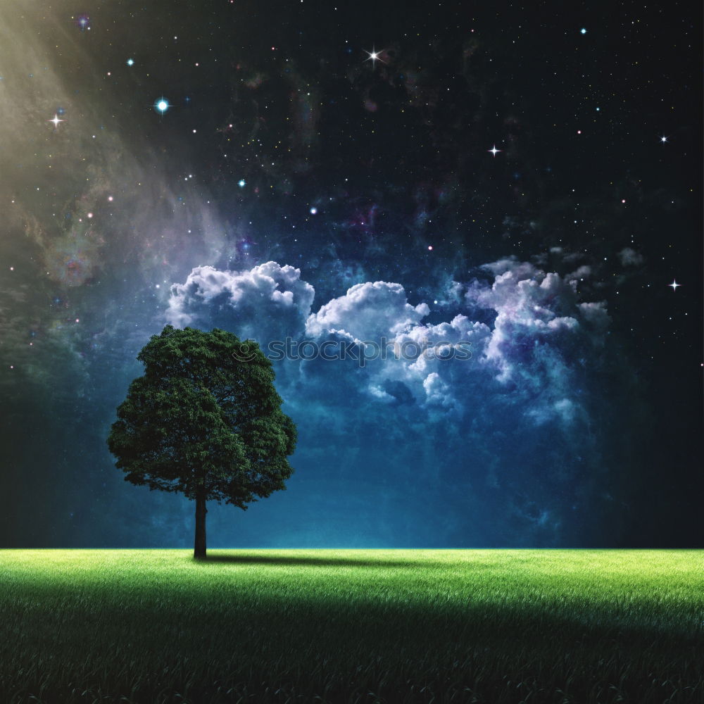 Image, Stock Photo ponder Tree Clouds