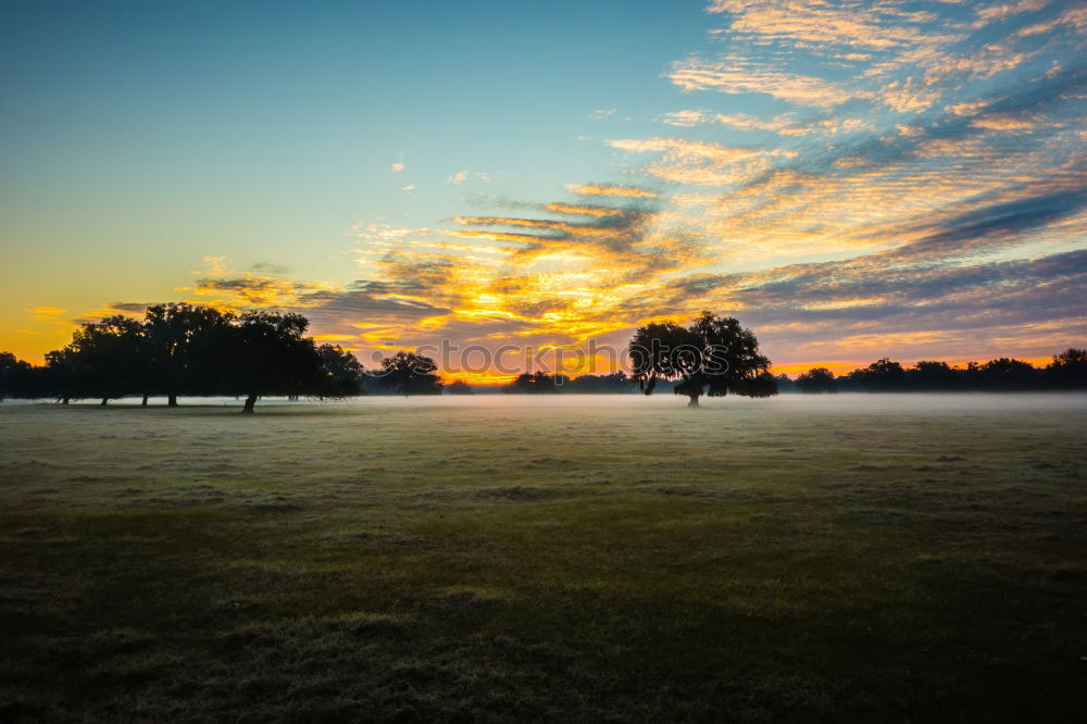 Similar – morning fog Fog Sunrise