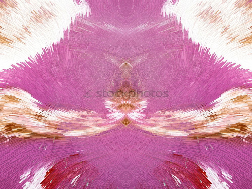 Similar – close pink up Blume