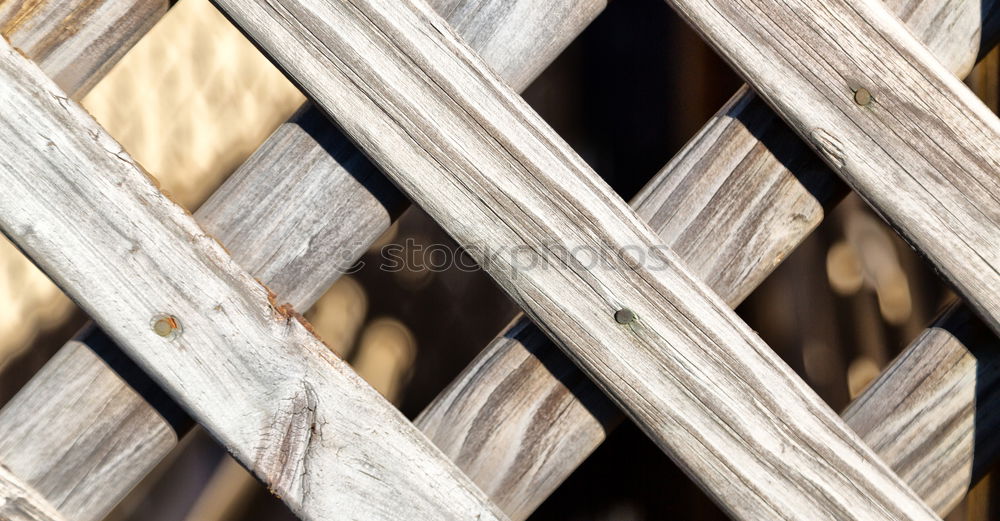 Similar – Image, Stock Photo Cologne Cathedral around the corner