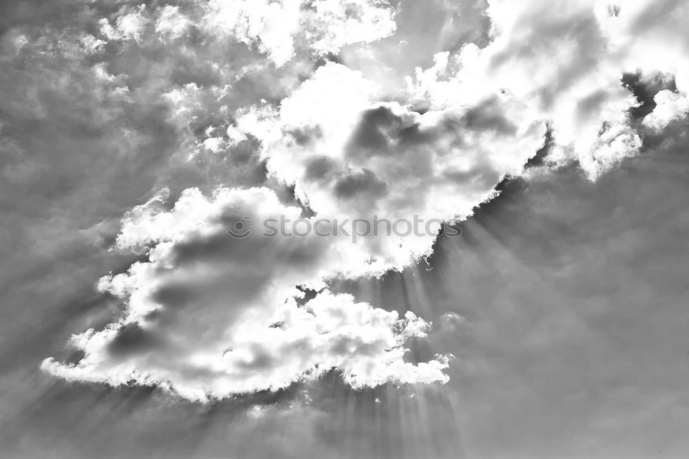 Image, Stock Photo Alone? Sheep Clouds Gale