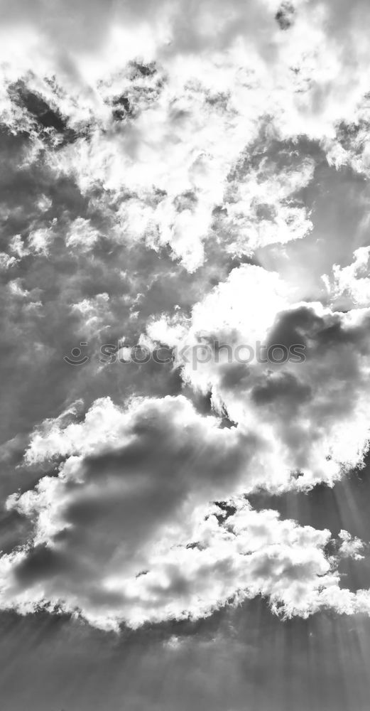 Similar – Image, Stock Photo Alone? Sheep Clouds Gale