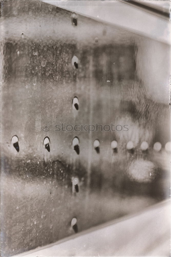 Similar – Image, Stock Photo egg box Eggs cardboard