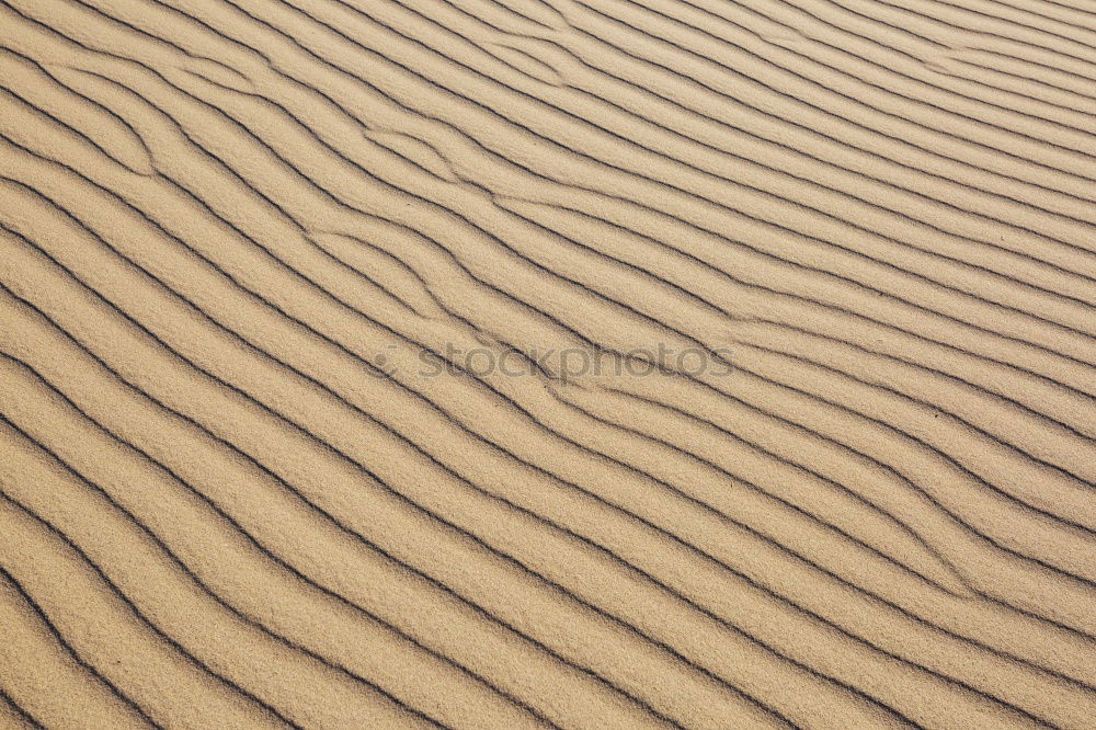 Similar – Footprints in dune sand