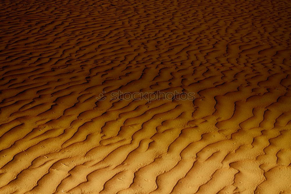 Similar – Image, Stock Photo in oman the old desert and the empty quarter