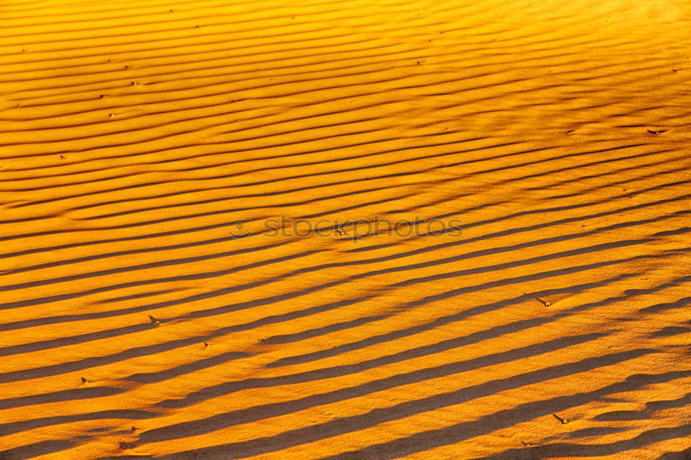 Similar – dune in the sahara morocco desert