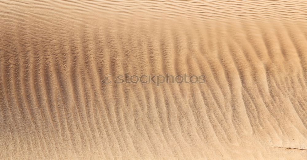 Similar – Foto Bild Wüstengold Sand Düne Wärme