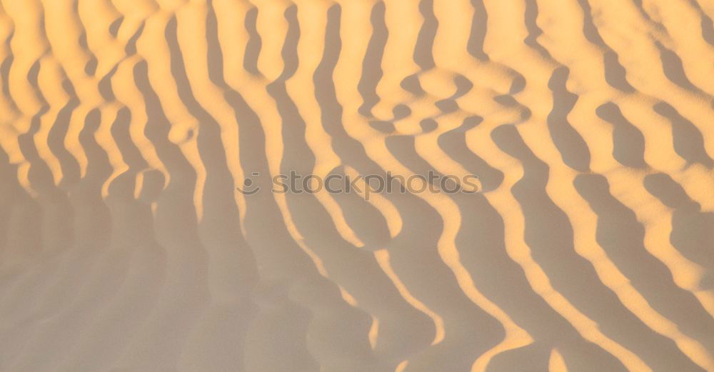 Image, Stock Photo sand dune in oman old desert rub al khali