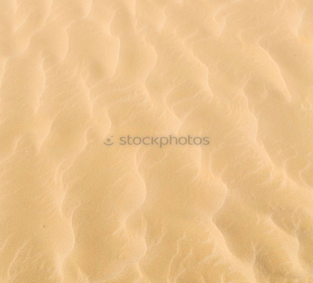 Similar – Sand texture on the beach