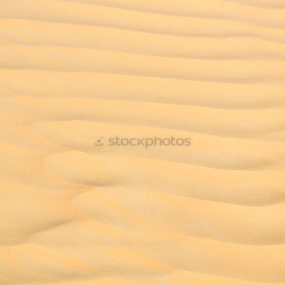 Similar – Sand texture on the beach