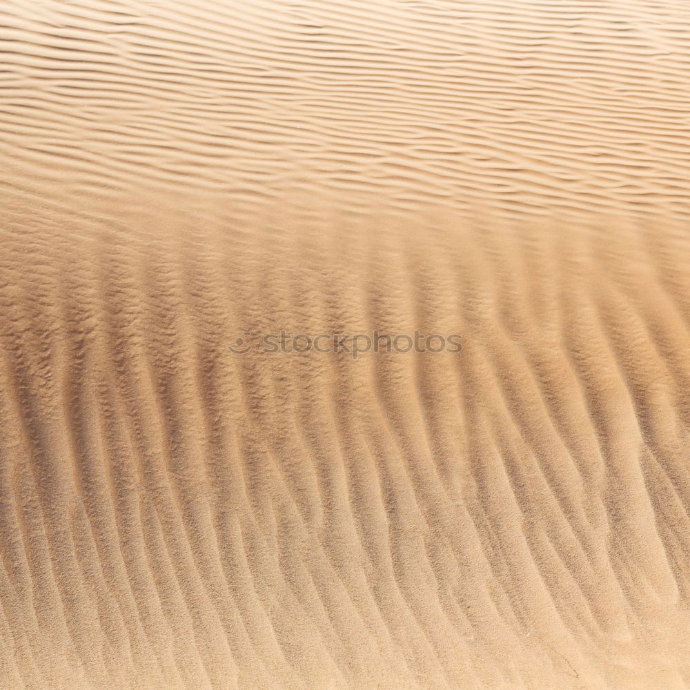 Similar – Desert (2/10) Sand Dune