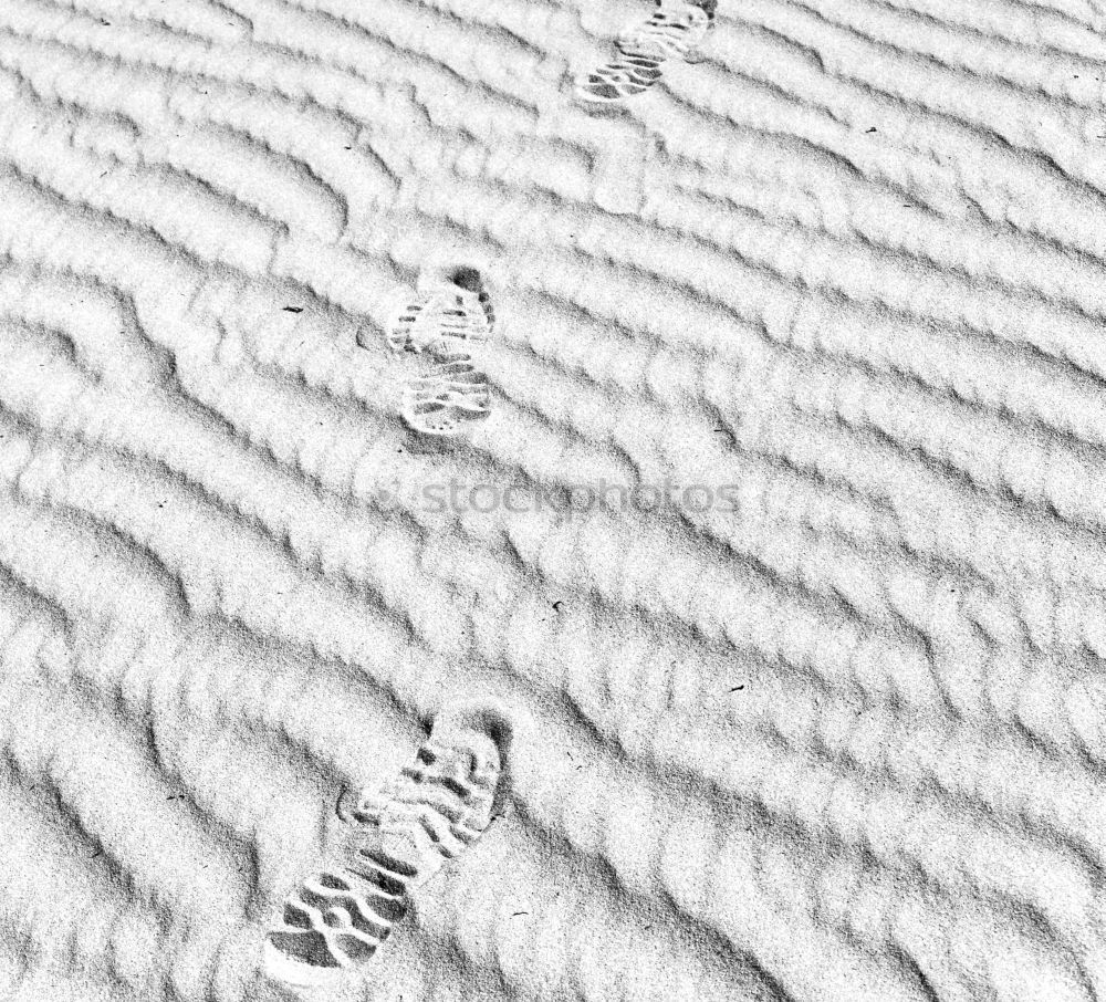 Similar – Image, Stock Photo Footprint in the sand Traces in the sand