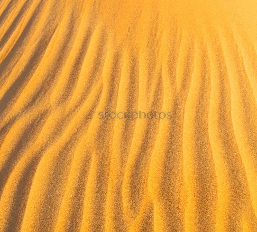 Similar – Image, Stock Photo sand dune in oman old desert rub al khali