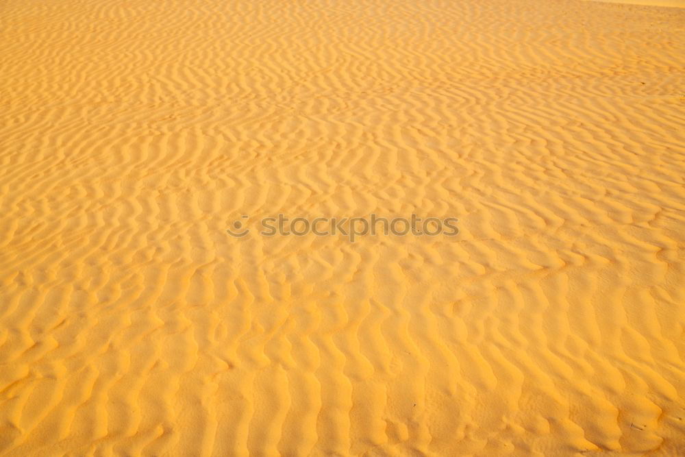 Similar – in the sahara morocco desert