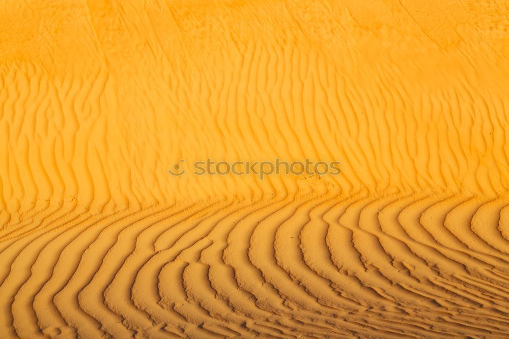 Similar – Image, Stock Photo sand dune in oman old desert rub al khali