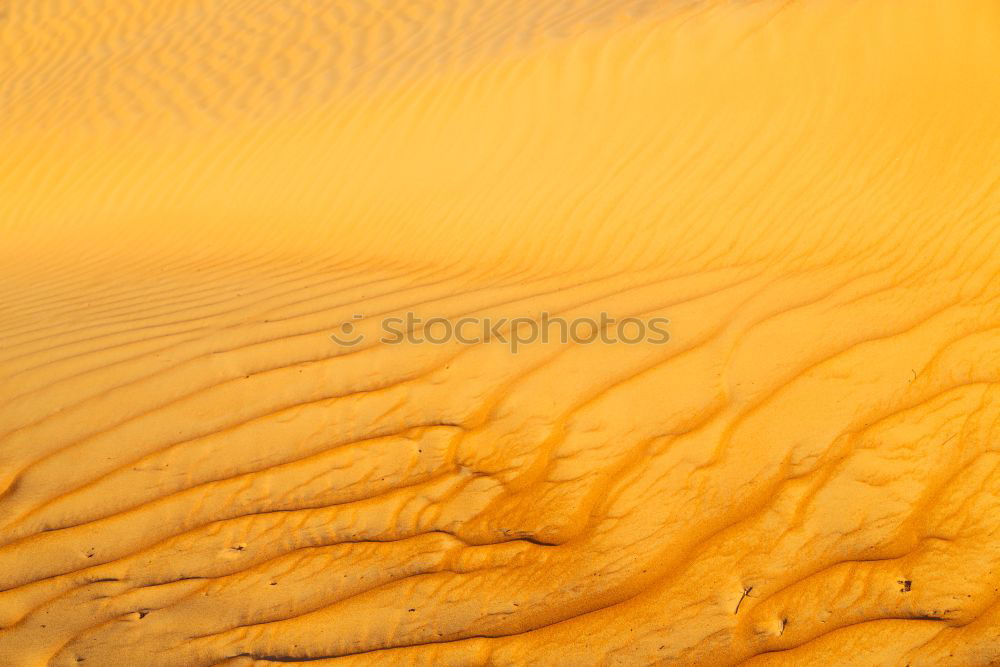 Similar – Image, Stock Photo sand dune in oman old desert rub al khali