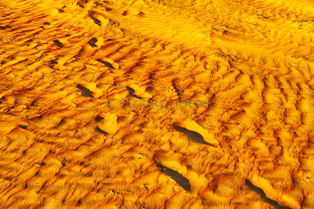 Similar – in the sahara morocco desert